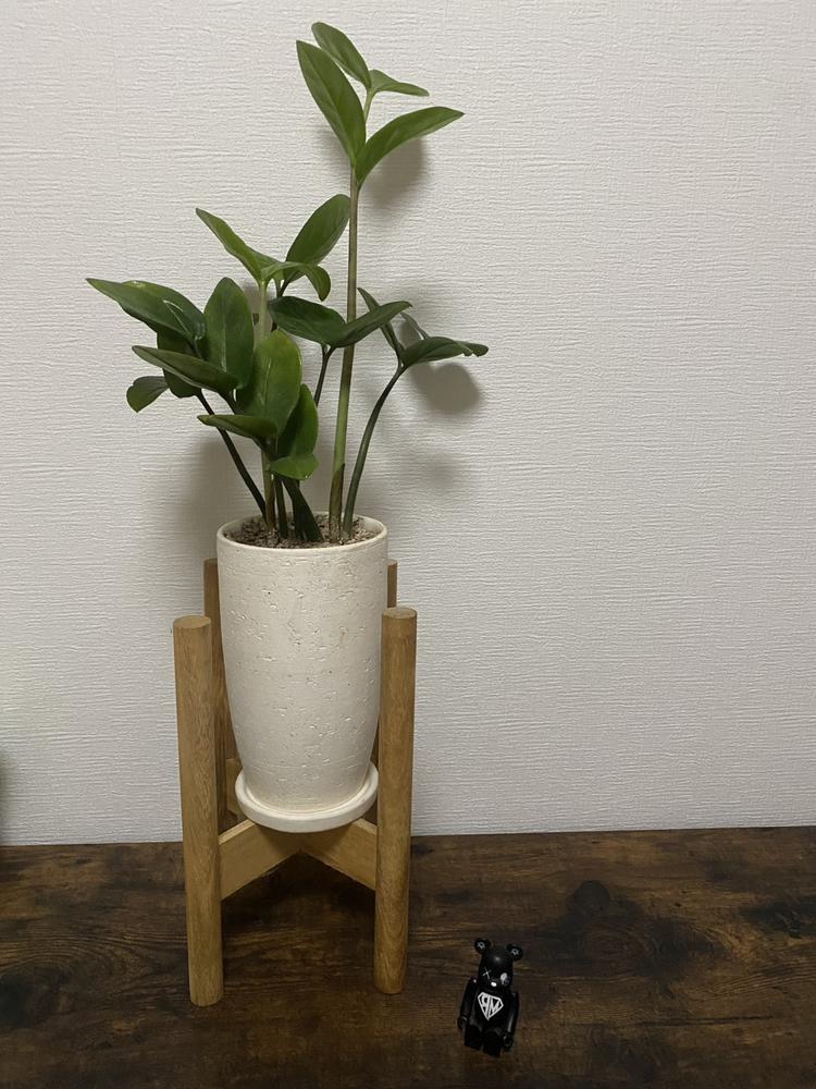 癒されます〜🍀