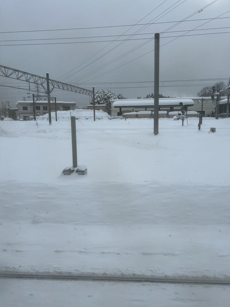 おやすみ❄️🎶