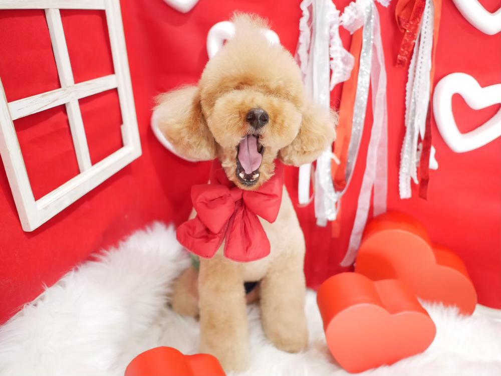 もうすぐバレンタインですね💘