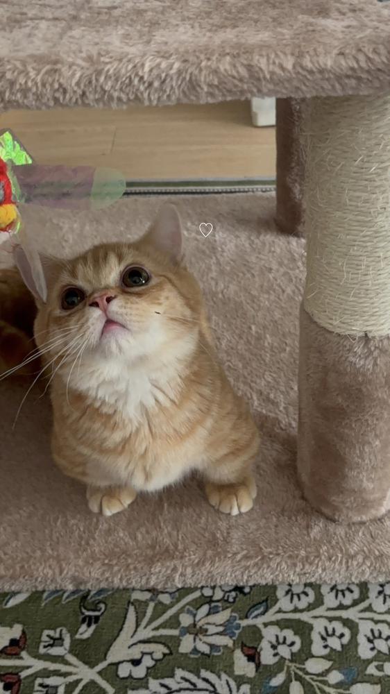 出勤だよーーーっ