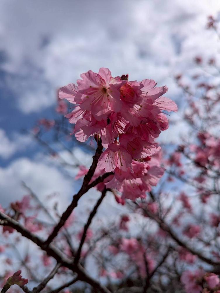 本日20:30〜出勤‼︎