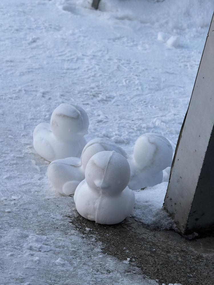 出勤しました！