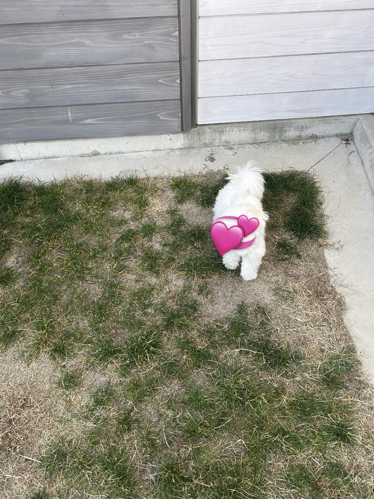 おはよう👶🏻☀️