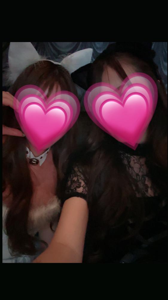 アニマルイベント