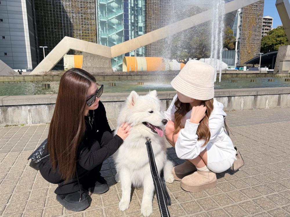 サモエド🐩🐾