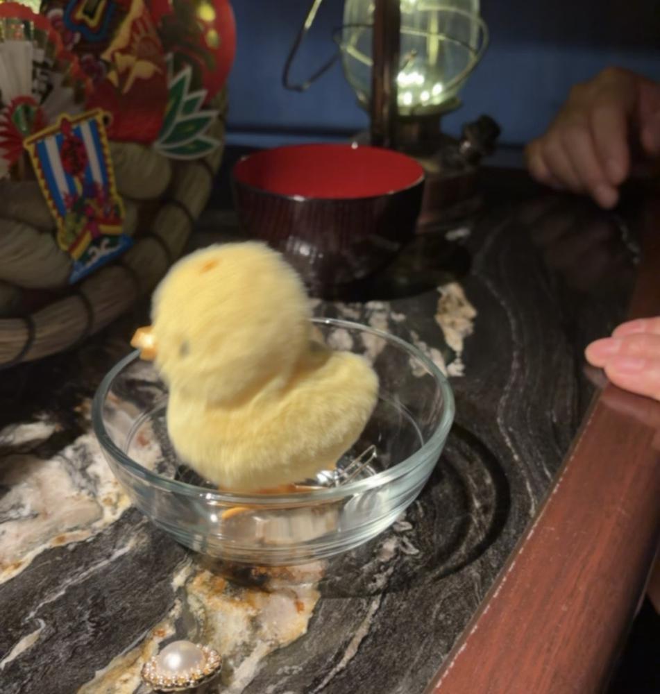 ひよこを回転させたい