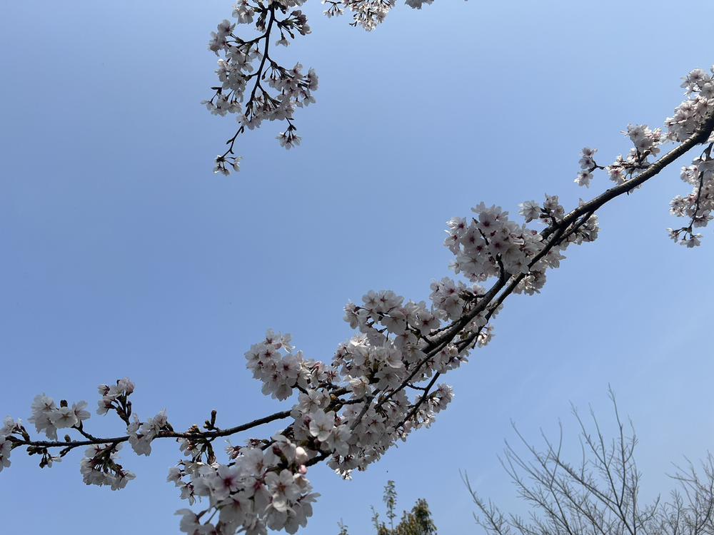 今月ラスト出勤✌️