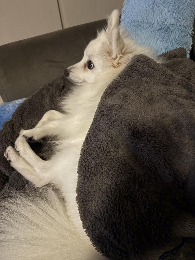 ‎꒰՞ ܸ. .ܸ՞꒱