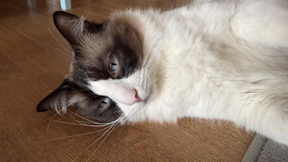 月曜日スタート🤍