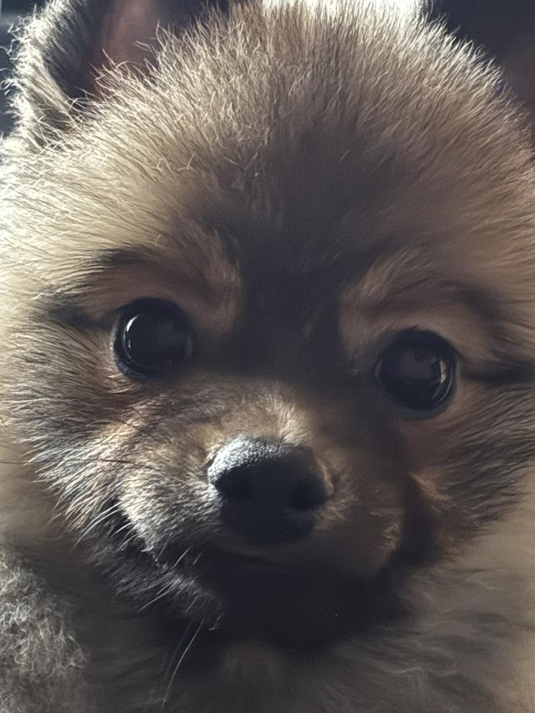 出勤しまっちょ