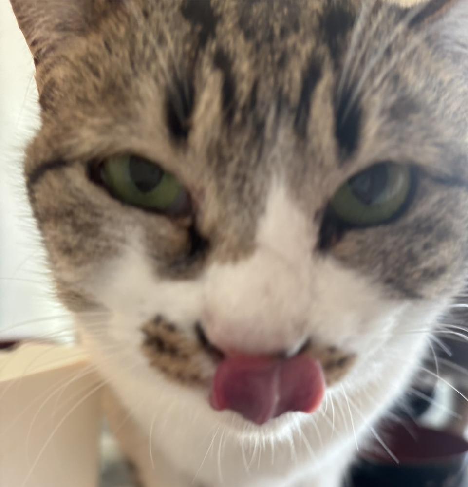 予定ください（ ;  ; ）