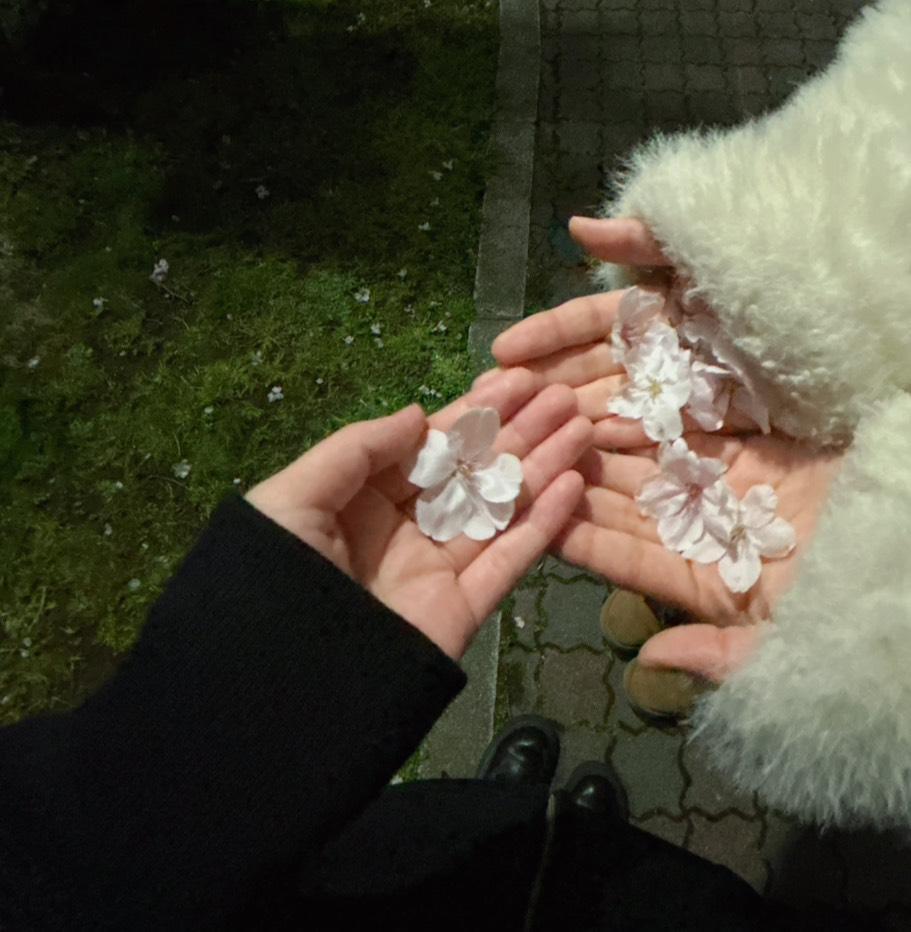 本日いまーす！！