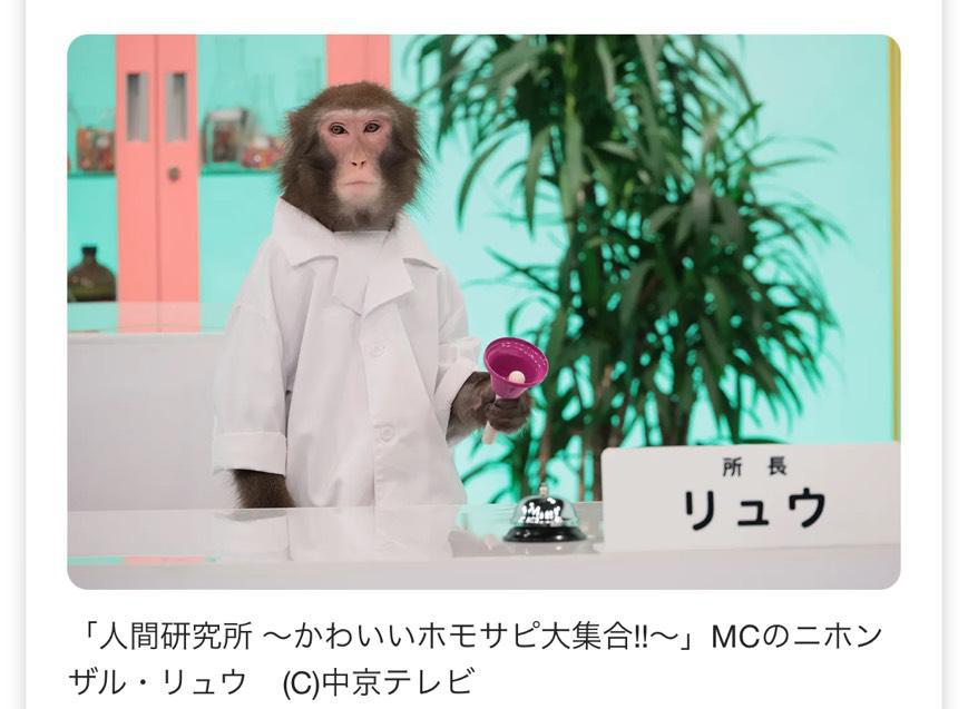 人間研究所🐒