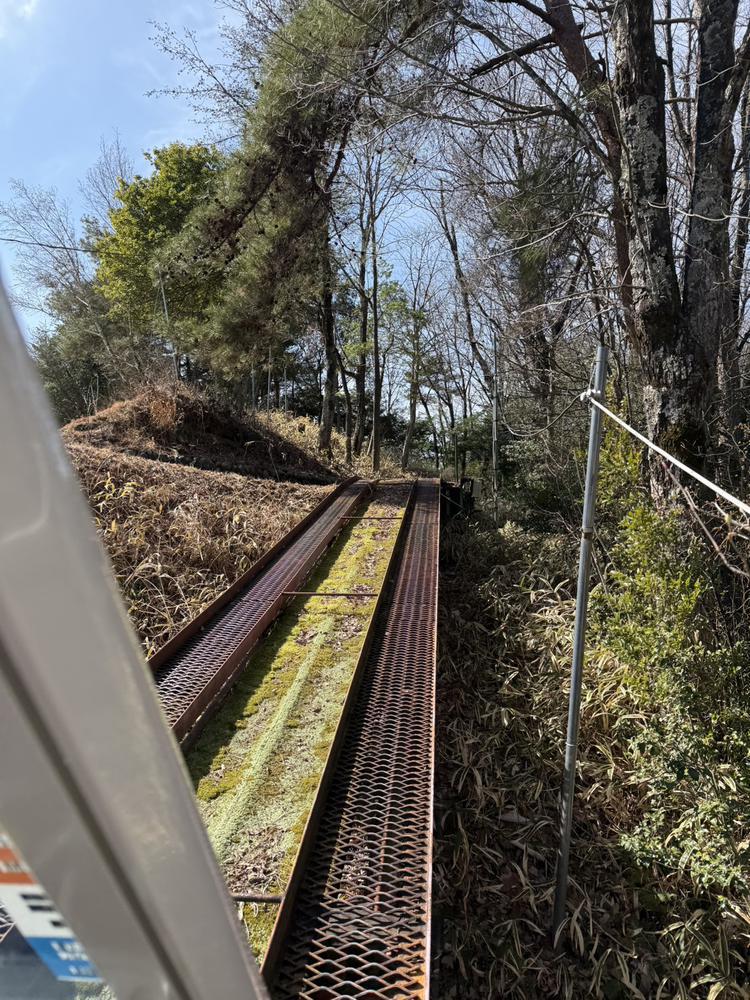 ゴルフ🏌️‍♀️