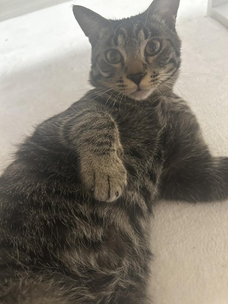 おやすみだよー🫡