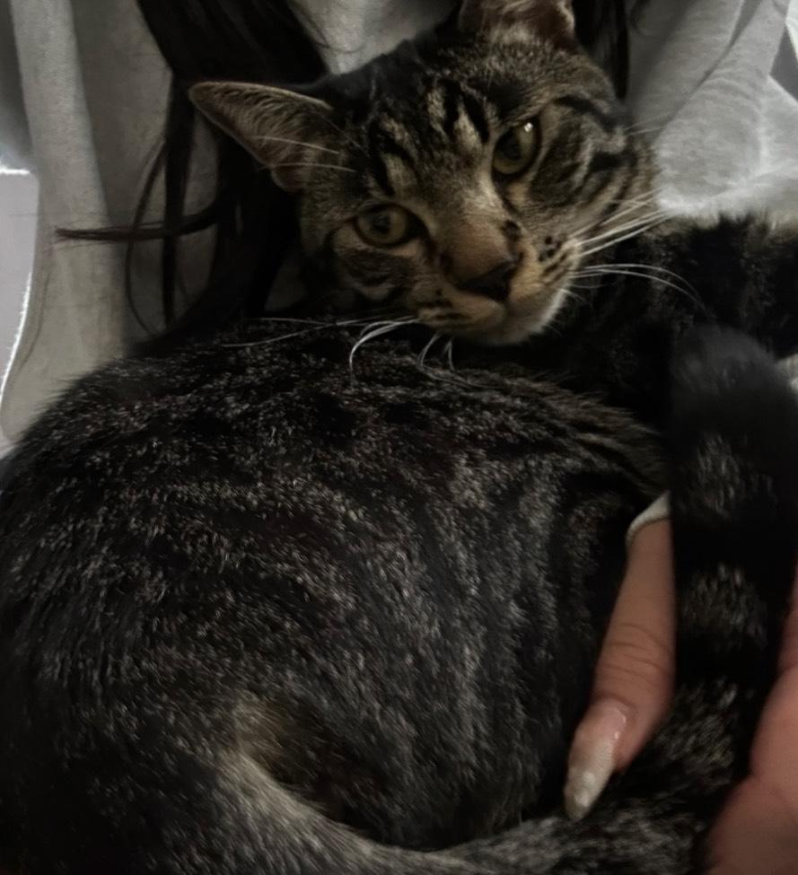 おやすみ頂いてます🙇‍♀️