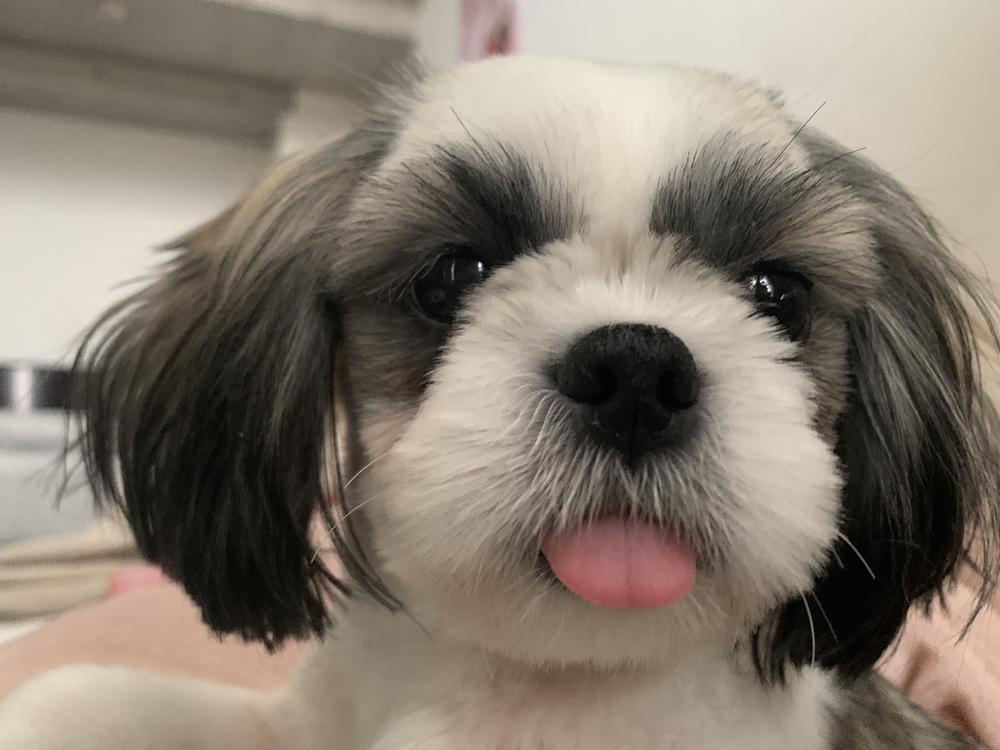 🙂‍↔️痩せるかどうかは別問題