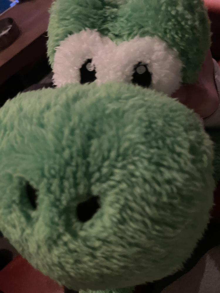 🦖 ヨ ッ シ ー 🦖