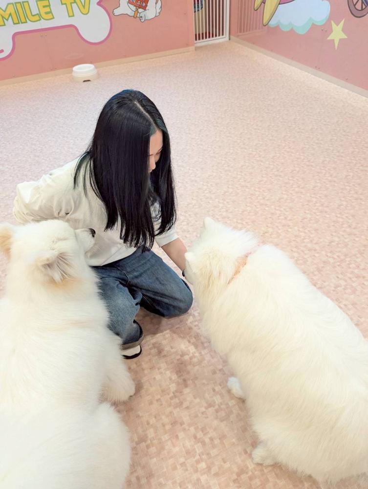 🐕 サ モ エ ド カ フ ェ 🐕