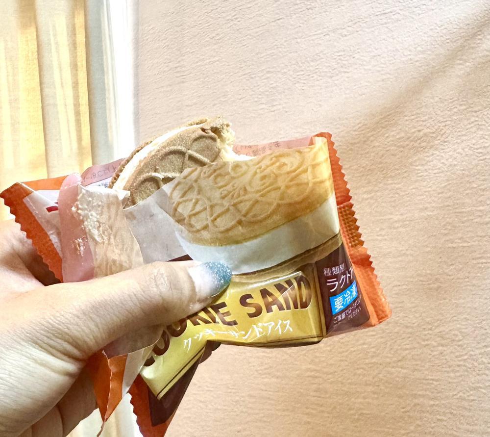 今日は行くのだっ！