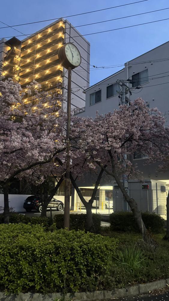 あとちょっとで韓国🇰🇷