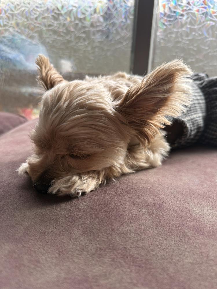 21時半出勤‪·͜· ෆ‪