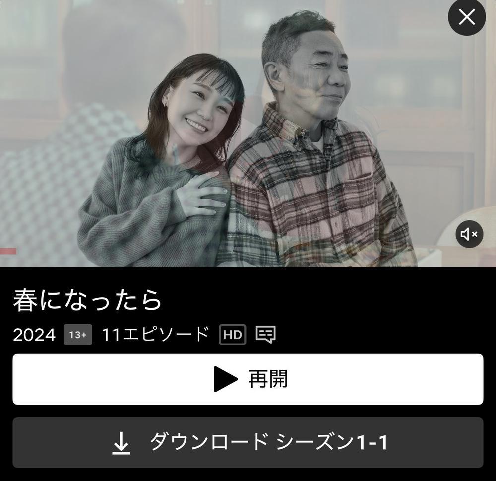 ハマってるドラマ