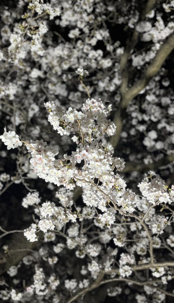 入店してから初ブログ更新です❕