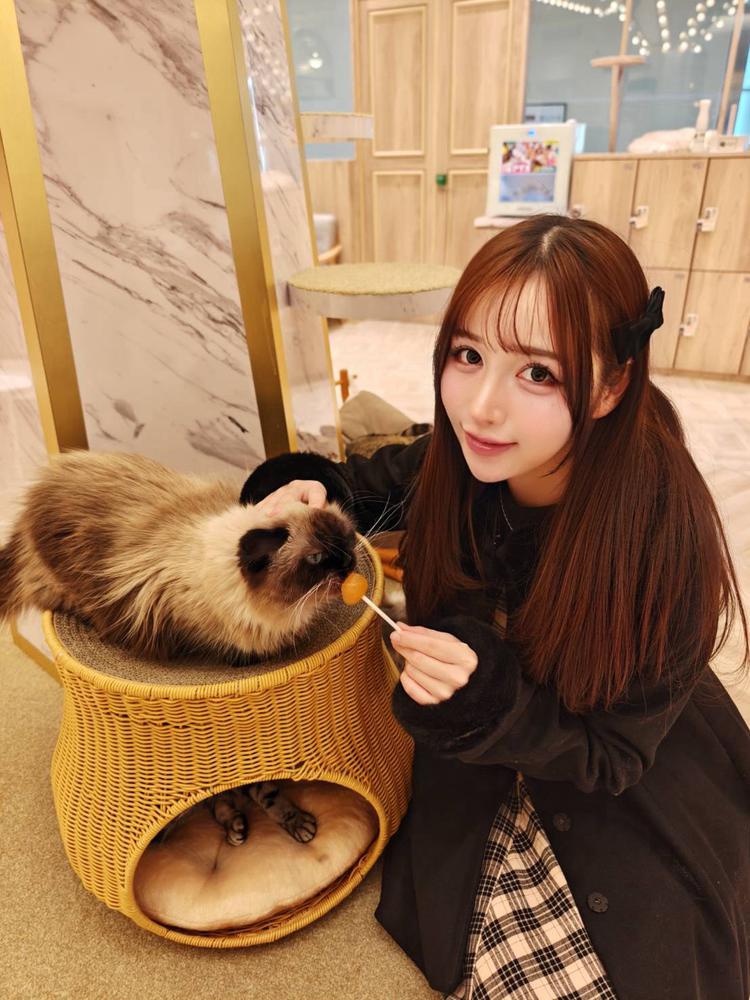 にゃんにゃん🐈