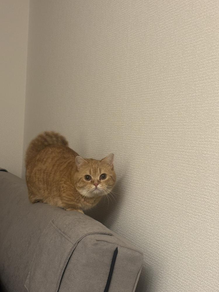 出勤してるよ☀️