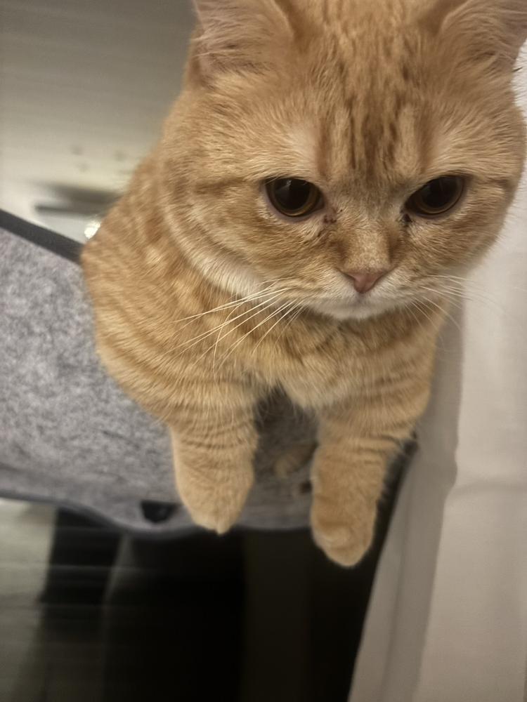 出勤してます🫠