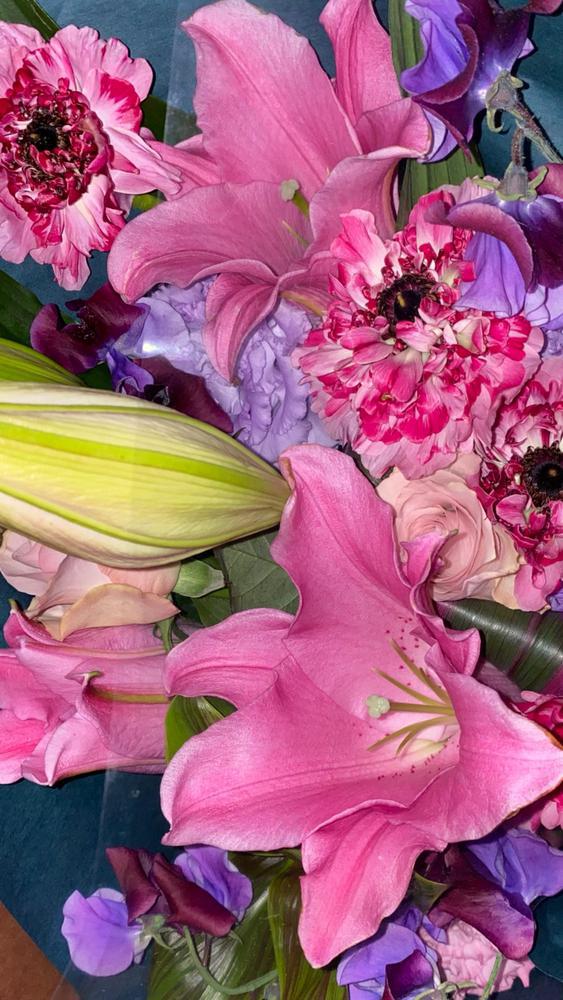 おーはーよーお