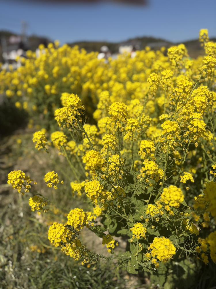 同伴してきたよ♡