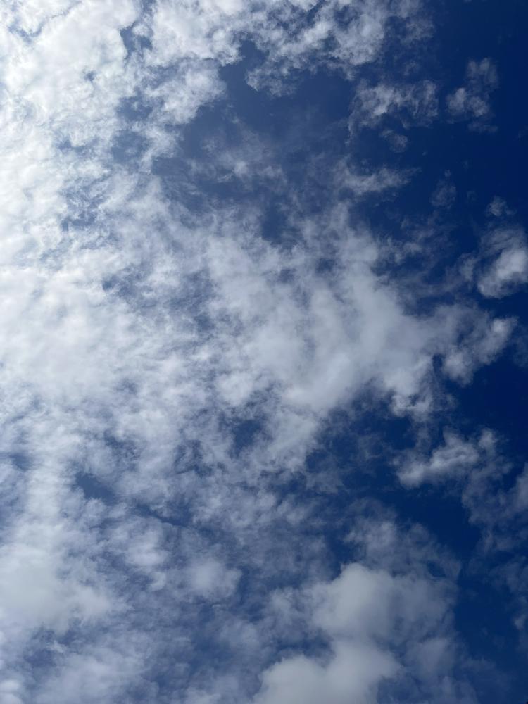 今日出勤してます！