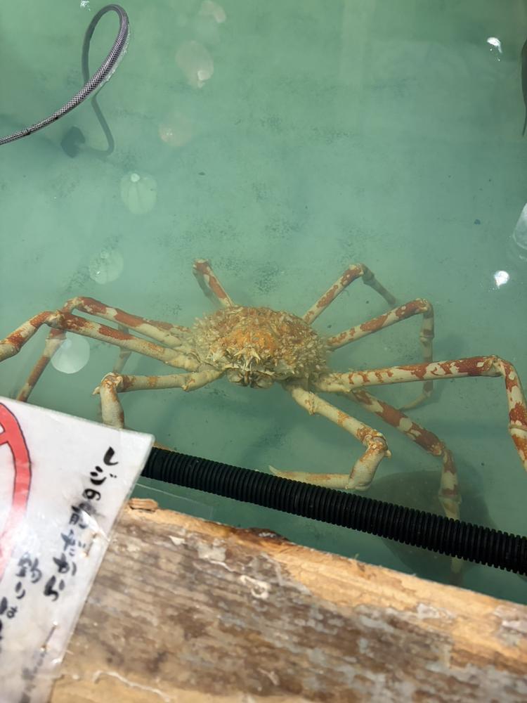 おはようございます😊