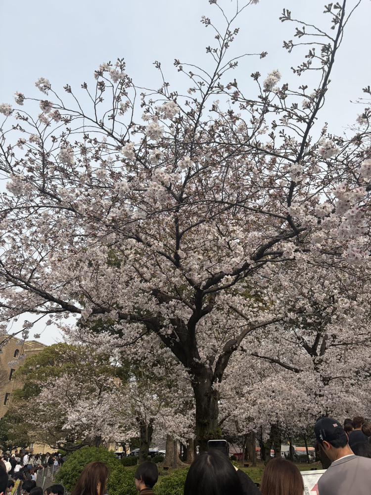 おはようございます😊