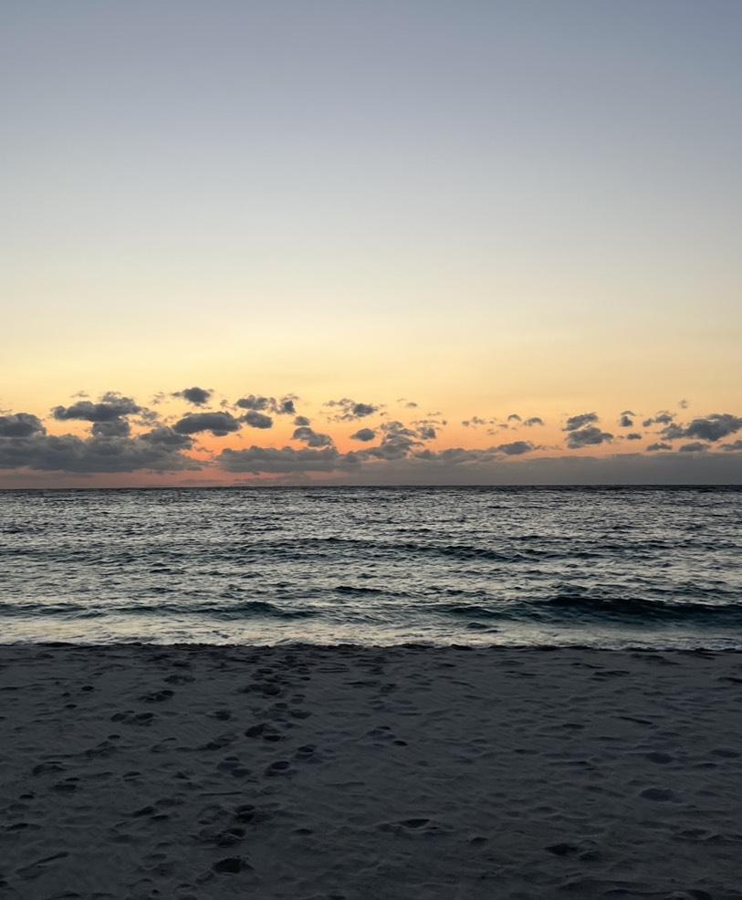 海行ったの🐬🌆