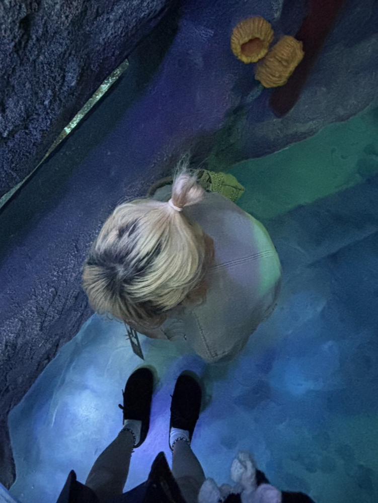あつもりの水族館