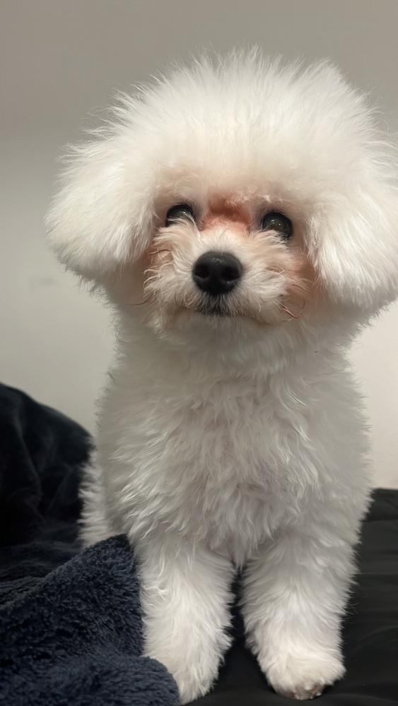 出勤してます🌛 華金お待ちしてます✋🤍