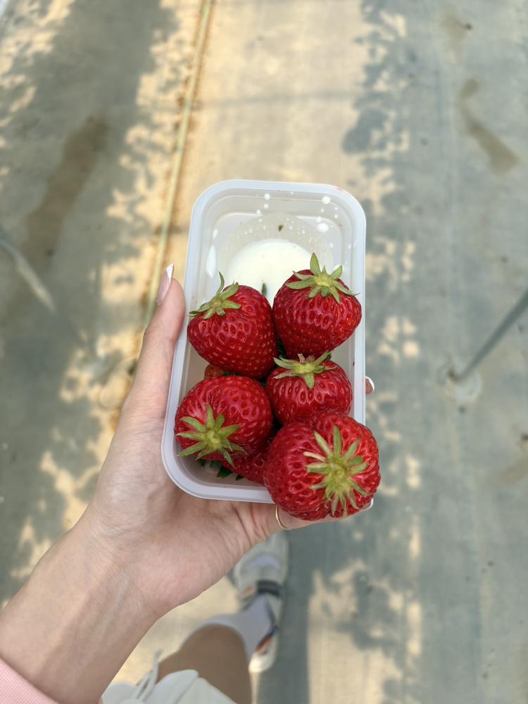 🍓