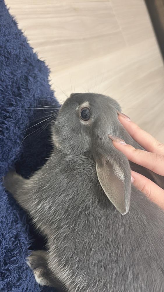 雨だから今日はおうちでおとなしく🏠