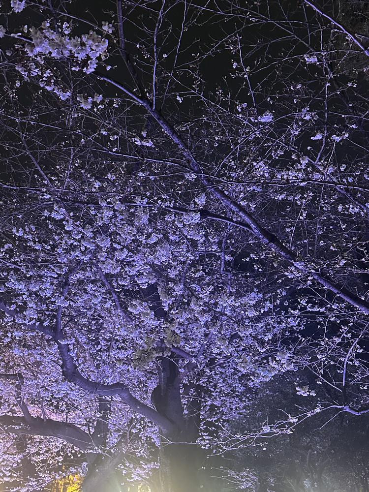 出勤‪·͜· ❤︎‬