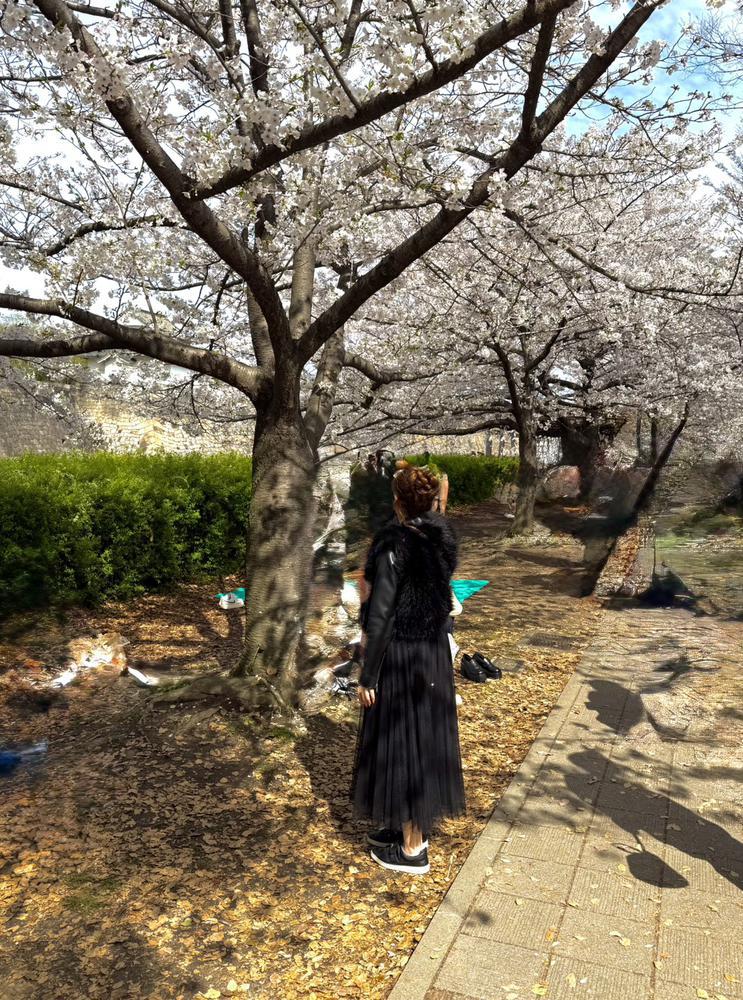 出勤です🥰 桜お花見いきました🌸