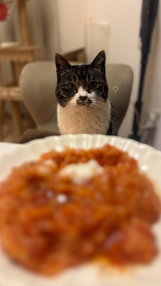 ４月４日はおかまの日