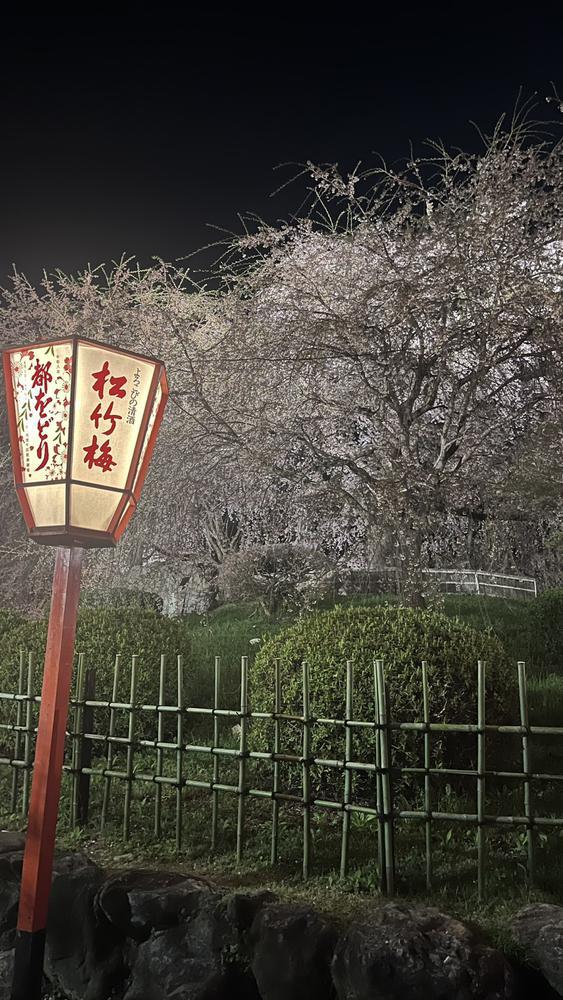土晩だよ！