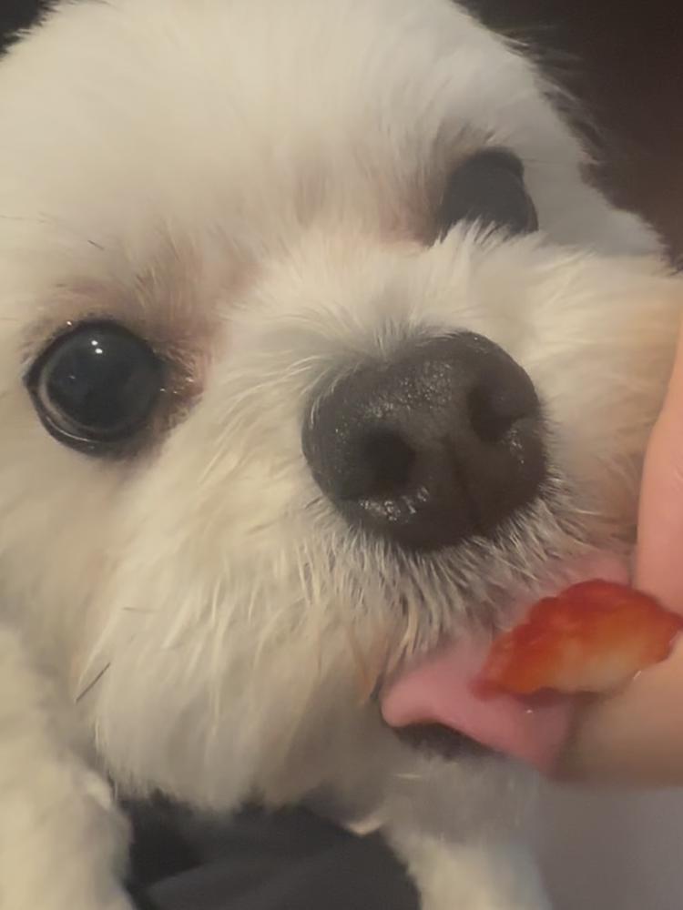 いちごの季節🍓