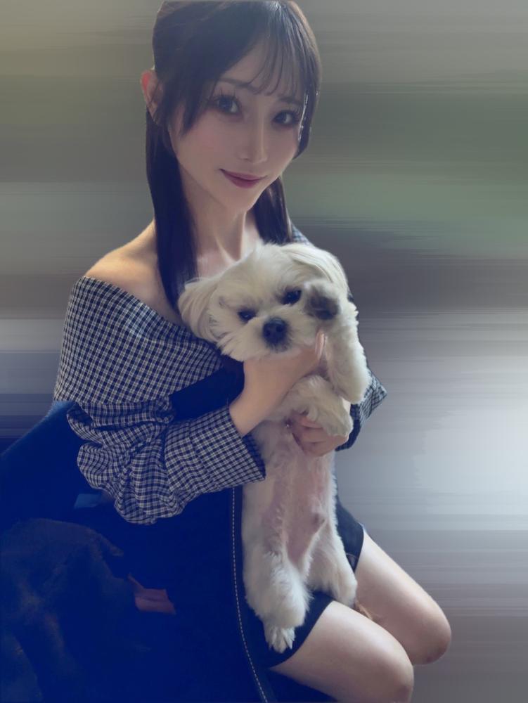 平和な休日🕊️