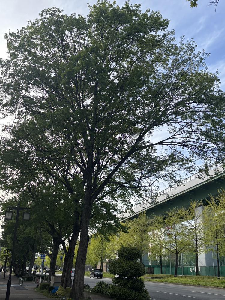 お散歩日和☀️