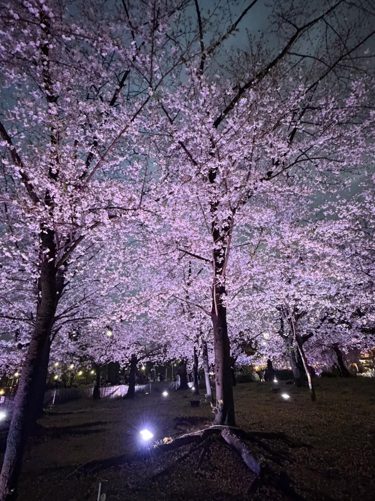 しゅっきん☘️