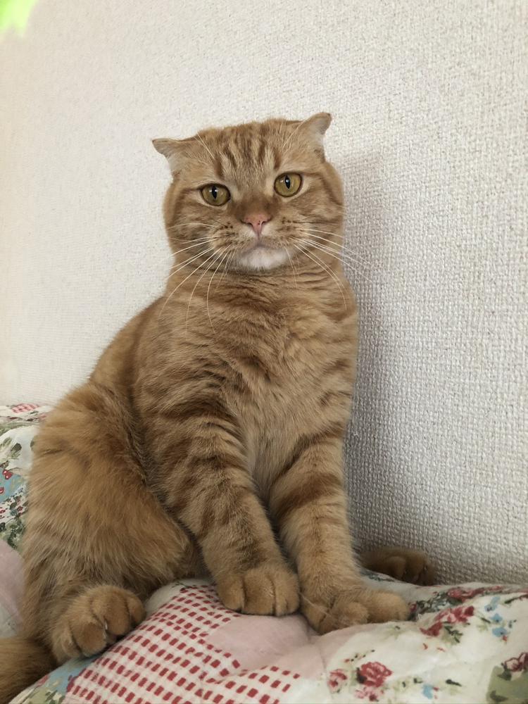 GWのご予定は？